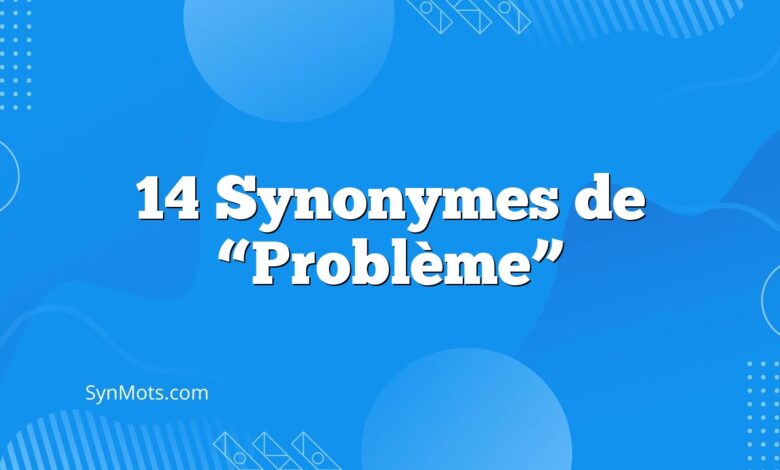 14 Synonymes de “Problème”