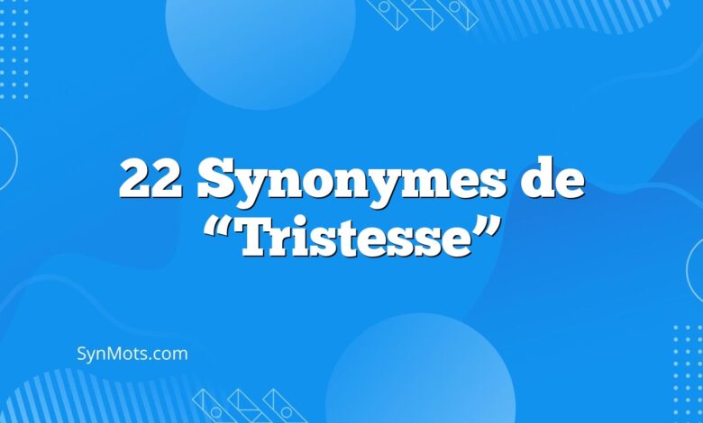 22 Synonymes de “Tristesse”