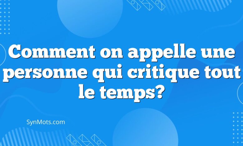 Comment on appelle une personne qui critique tout le temps?